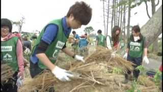 津波で流失した鎮守の森　住民の手で再生　＠山元町八重垣神社