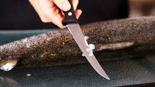 How to Remove Scales | Fish Filleting