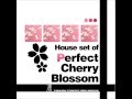 House Set of Perfect Cherry Blossom: 16 Sakura, Sakura ~ Japanize Dream...