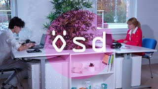 ÖSD Zertifikat ZDÖ B1- Mündliche Computerprüfung/digitale Prüfung (Sprechen)