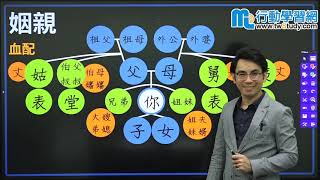 〔會考〕親屬關係大亂鬥！直系旁系血親、姻親多到數不清 │吳曄老師│《國中公民》【行動學習網】