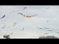 Thousands gather at Zilker for annual ABC Kite Festival