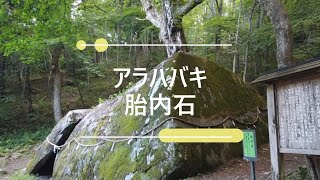 #丹内山神社　#アラハバキ大神の巨石　#胎内石