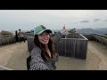 clam digging hiking mount misen on miyajima hiroshima japan ep 2 🇯🇵