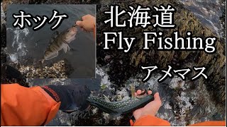 アメマスとホッケ釣りになった日【 北海道 フライフィッシング 】