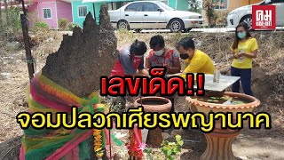 ขอเลขเด็ดจอมปลวกเศียรพญานาค #เลขเด็ด#เศียรพญานาค #สุพรรณบุรี