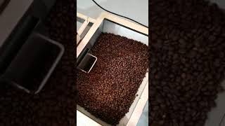 TSL 300去石机操作视频-- Dongyi TSL-300 destoner for coffee roaster remove the coffee beans stone-