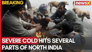 Severe Cold Wave Hits North India: Temperature Drops in Noida, Rain Expected | NewsX