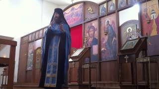 Orthodox Devotion to the Theotokos - Fr. Jeremy Davis