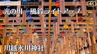 川越氷川神社　風鈴　ライトアップ　光の川　幻想的な夜　2023　シネマティック　/ Kawagoe Hikawa Shrine　Furin  fantastic night cinematic 4K