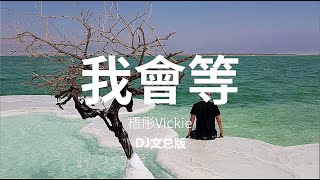 梧彤 - 我会等 (DJ文总版) (I WILL WAIT) [DJ MIX]