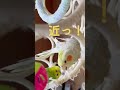 セキセイインコのアジトにオカメインコが侵入したらこうなりました cockatiels join budgie playground