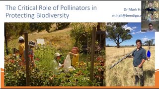 The Critical Role of Pollinators In Protecting Biodiversity Webinar