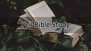 예일교회_yeil 2022.11.25 Yeil Bible Study