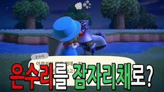 [모동숲] 주민 화나게 하기 , 주민때리기, 주민은수리 / Animal Crossing