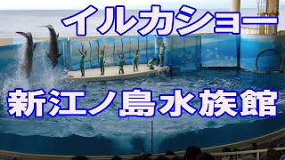 新江ノ島水族館　イルカショー　フルバージョン