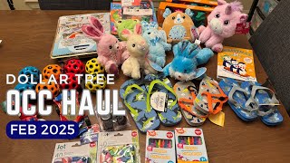 OCC Dollar Tree Haul February 2025