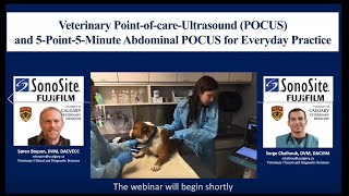 Point of Care Ultrasound (POCUS)