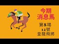 馬房消息馬...今期消息馬 12 2 2025 星期三 沙田夜馬賽事 香港賽馬 賽馬 賽馬貼士