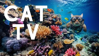 CAT TV:  Underwater Adventure!🐠 6 HOURS Of Entertainment for Cats [NO ADS]