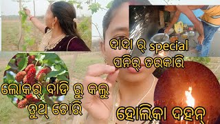 ଦାଦା ର୍ special ପନିର୍ ତରକାରି 🤤ଲୋକର୍ ବାଡି ରୁ କଲୁ ତୁଥ୍ ଚୋରି 🤭😝 ପହିଲା time ଦେଖିଲି ହୋଳିକା ଦହନ୍