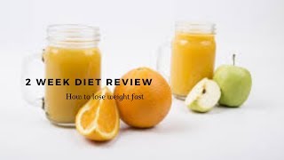 2 Week Diet Review - The 2 Week Diet With Brian Flatt  - 2 Week Diet Real Review