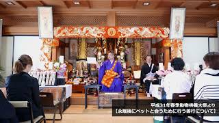 平成31年春季動物供養大祭 泰聖寺住職法話（てんのうじペット霊園）