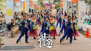 【ちるらむ公式】『花途』 2024にいがた総おどり祭 - 古町7番町