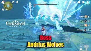 Genshin Impact Boss Andrius Wolves GamePlay