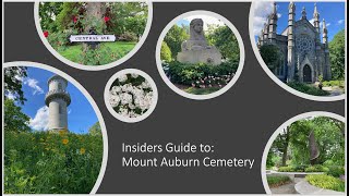 Insiders Guide to Mount Auburn Cemetery