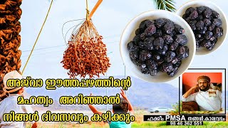 അജ്‌വാ ഈത്തപഴത്തിന്റെ മഹത്വം അറിഞ്ഞാൽ നിങ്ങൾ ദിവസവും കഴിക്കും #ajwadates #dates #palmtree