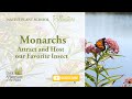 Monarchs: Attract and Host Our Favorite Insect