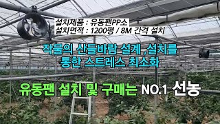 [선농]유동팬PP소(SN-14-2) 1200평 / 8M 간격 설치