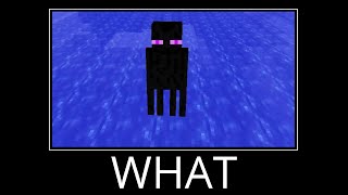 WAIT WHAT (Minecraft) #5