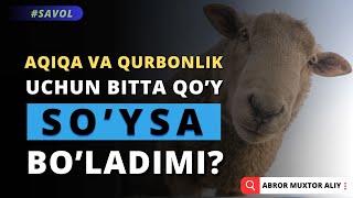 #SAVOL • Aqiqa va qurbonlik bitta qo'y so'ysa bo'ladimi? © Abror Muxtor Aliy @abrormuxtoraliy.official