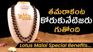 తామర మాల | Benefits of Lotus Seed Mala- Thamara Mala- Maha Lakshmi Kamala Mala - Lakshmi Kataksham