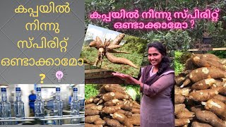 How do you make tapioca alcohol?  കപ്പയിൽ നിന്നു സ്പിരിറ്റ് ഒണ്ടാക്കാമോ ?