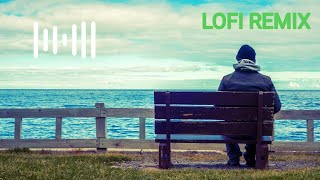 lofi remix song 🎶 // hundred percent right