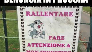 La mattanza dei conigli di Forlì. Ispezione M5S