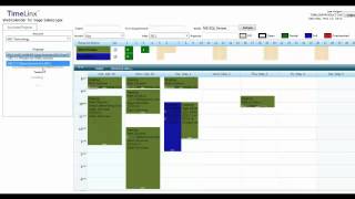 TimeLinx WebCalendar from Success with CRM