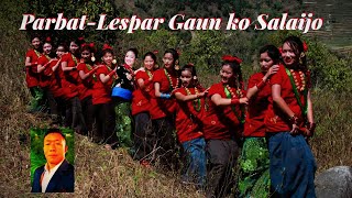 Parbat Lespar ko salaijo geet 🌺🎶🌺Village Promotional song by Bhadra Pun Magar -Gita Paija/Aashu Lama