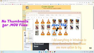 [Video Codec] No Thumbnails for .MOV Files