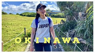 【沖縄vlog 02】タイガービーチと万座毛。アメリカンビレッジも！