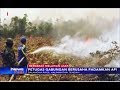 Polisi Tangani 88 Berkas Dugaan Pembakaran Hutan di Kalimantan Tengah - iNews Pagi 28/09