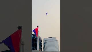 Chote ki patang water tank main fass gayi 🥹#kiteflying #vaibhavsainivlogs #shorts