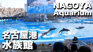 名古屋港水族館でイルカパフォーマンスとシャチの公開トレーニングを見た