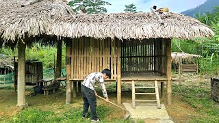 Poor Boy - Cleaning around the bamboo house - Growing tomatoes in the garden