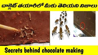 Secrets behind chocolate making | Don't eat chocolate (Telugu)