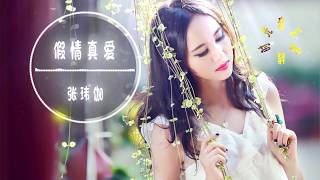 张玮伽 - 假情真爱||听了一遍又一遍，感情上谁认真谁就输了【動態歌詞Lyrics】