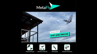 Flying The MetaFly at the seaside! Awesome Bionic flying insect RC